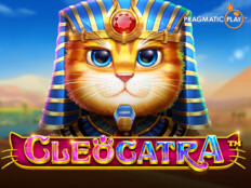 Casino slots free spins56